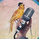 CANARY ON HANDHELD MICROPHONE